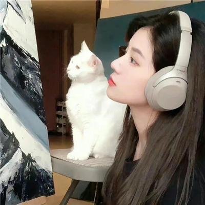 庇护